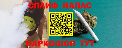стаф Кунгур