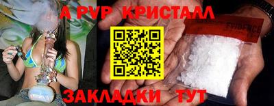 стаф Кунгур