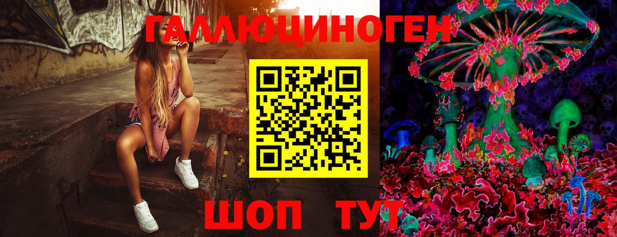 Галлюциногенные грибы Cubensis Дзержинск